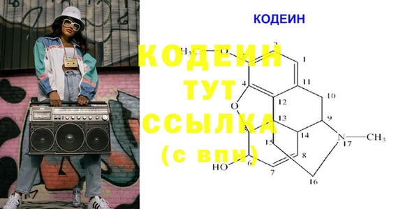 дурь Краснослободск