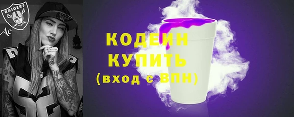 дурь Краснослободск