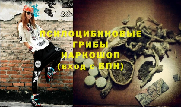 прущие крисы Краснотурьинск