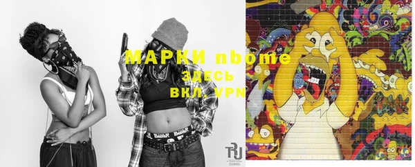 дурь Краснослободск