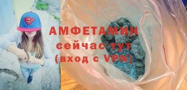 дурь Краснослободск
