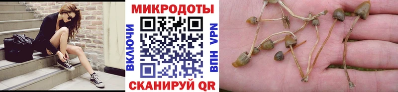 Псилоцибиновые грибы Cubensis  Купить закладки  Осинники 