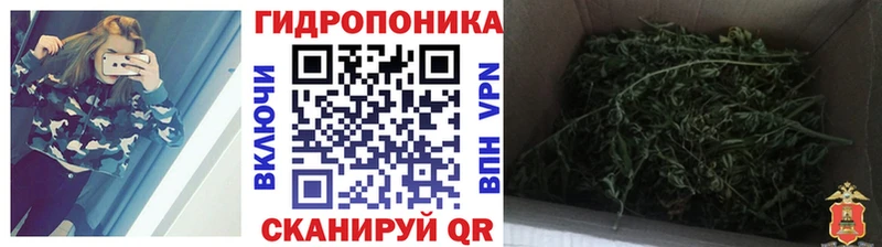Канабис White Widow Осинники
